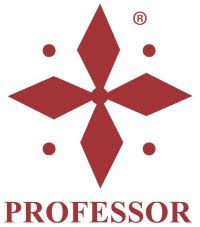 Professor