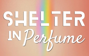 Shelter In Perfume