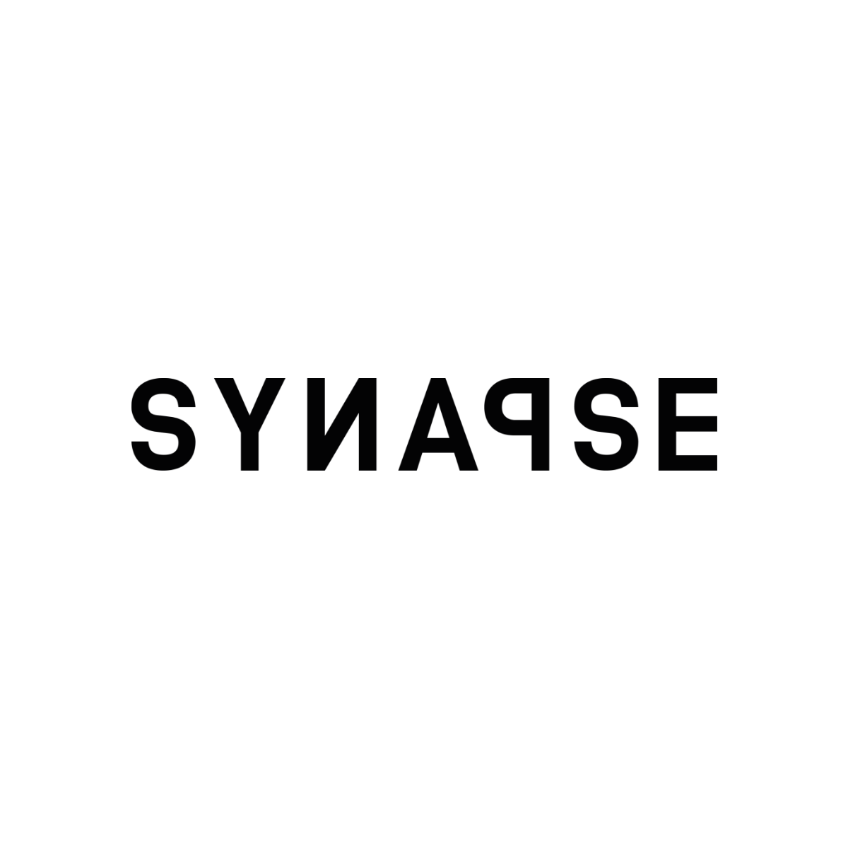 Synapse