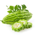 Bitter melon