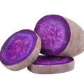 Purple Yam