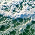 Sea Foam