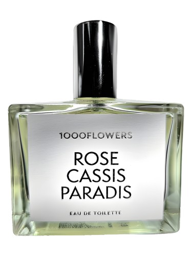 Rose Cassis Paradis
