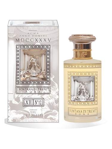 Fontana di Trevi XII