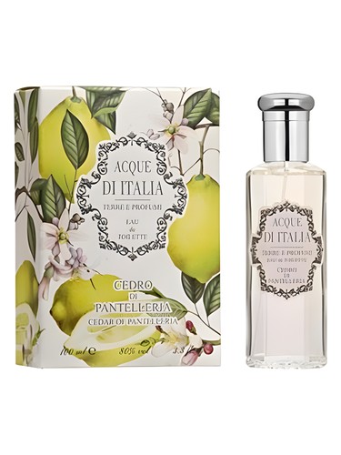 Cedro di Pantelleria