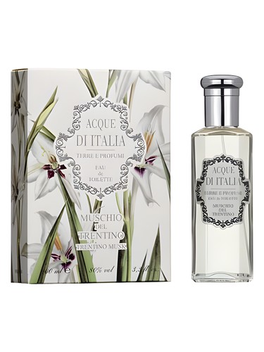 Muschio del Trentino