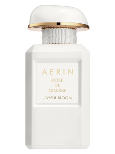 Rose de Grasse Joyful Bloom