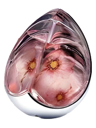 Kingdom Limited Edition 2004 2004