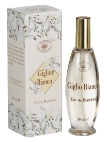 Giglio Bianco