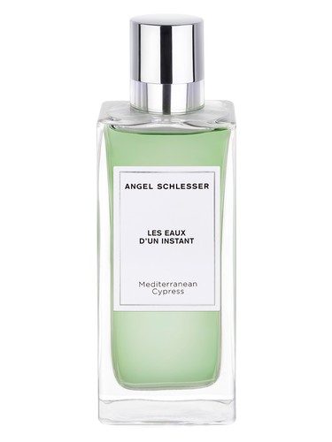 Mediterranean Cypress