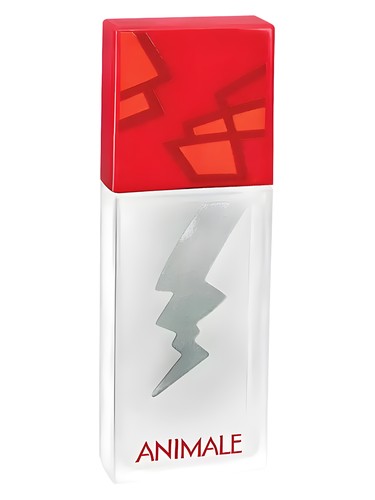 Animale Intense for Woman