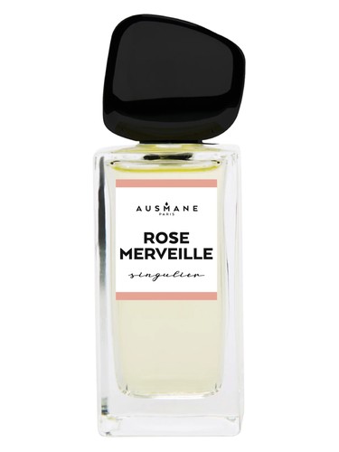 Rose Merveille
