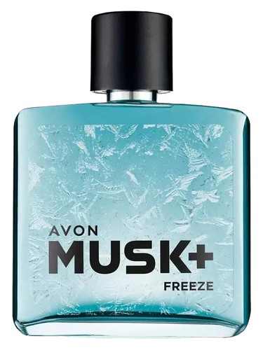 Musk + Freeze 2024