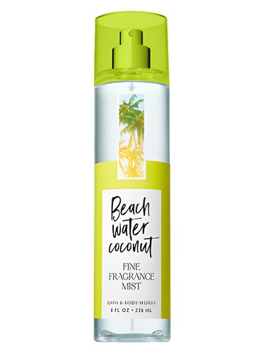 Beach Water Coconut