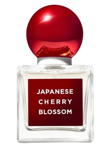 Japanese Cherry Blossom 2020 Edition