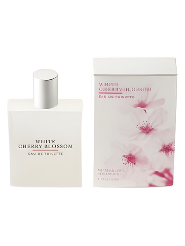 White Cherry Blossom