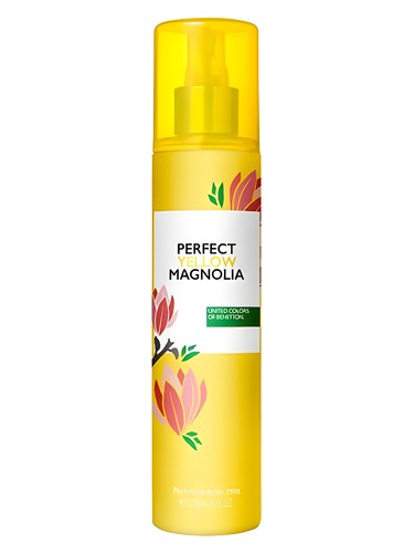 Perfect Yellow Magnolia