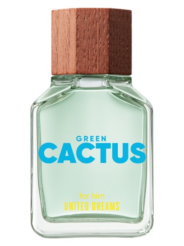 United Dreams Green Cactus for Man
