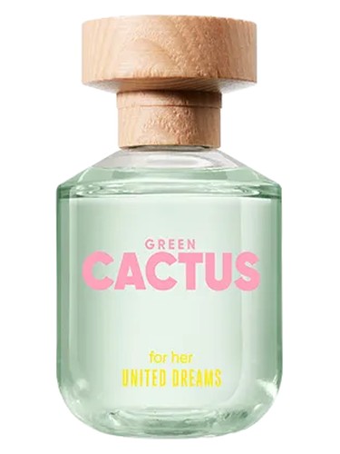 United Dreams Green Cactus for Woman