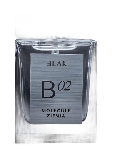 Molecule Ziemia B 02