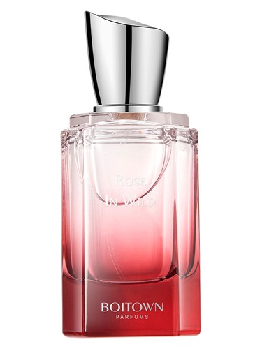 Rose In Wild 荒野玫瑰