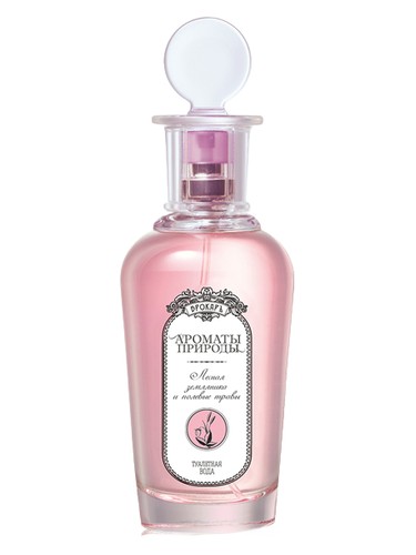 Лесная земляника и полевые травы - Wild Strawberry and Herbs