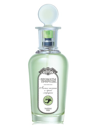 Листья томата и черной смородины - Tomato and Black Currant Leaves