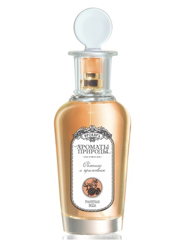 Облепиха и крыжовник - Sea buckthorn and Gooseberry