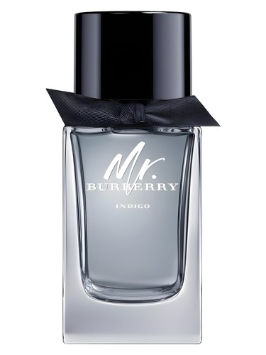 Mr. Burberry Indigo