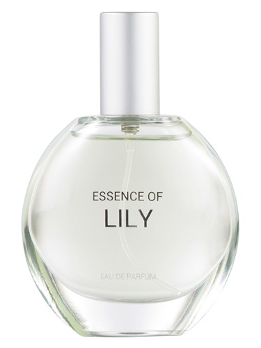 Essence of Lily