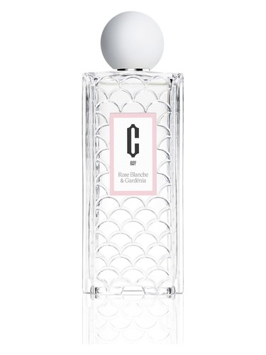 Rose Blanche & Gardenia