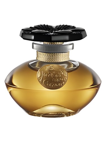 Narcisse Noir Unisex