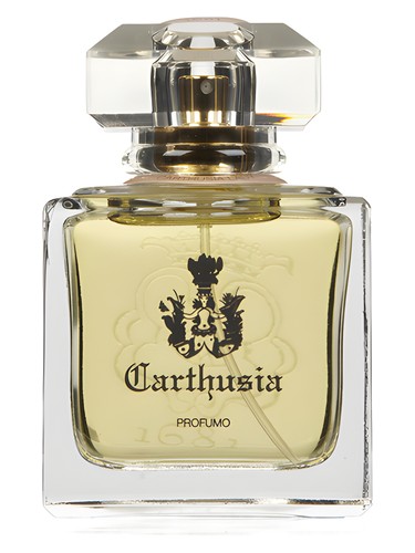 Carthusia Lady