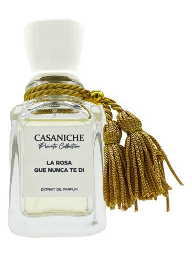 La rosa que nunca te di