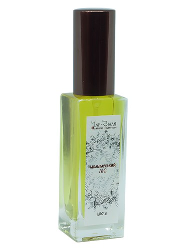 Molfar Forest / Мольфарський Ліс