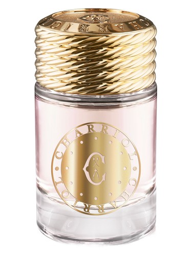 Infinite Celtic For Women