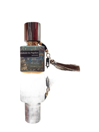 Nebuleuse du Papillon