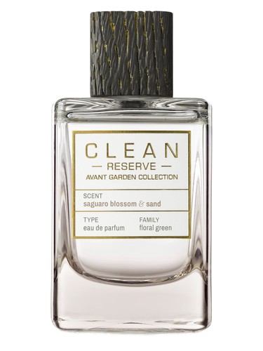 Saguaro Blossom & Sand