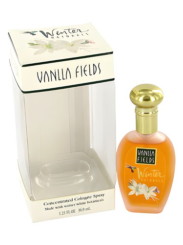 Vanilla Fields Winter