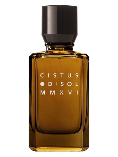 Cistus