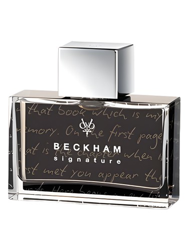 Signature Story for Man