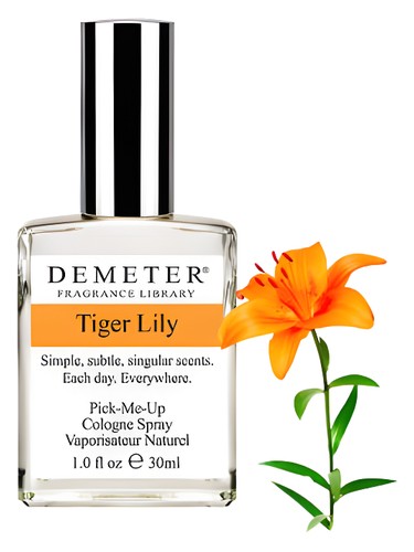 Tiger Lily