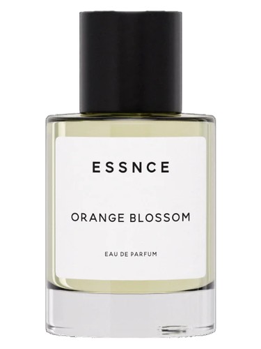 Orange Blossom