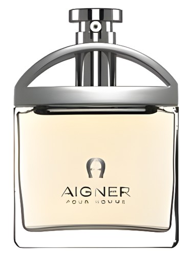 Aigner pour Homme