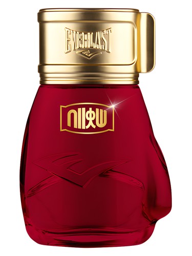 Choice Of Champions Street Fighter Hadouken