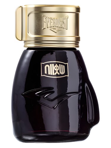 Choice Of Champions Street Fighter Metro City