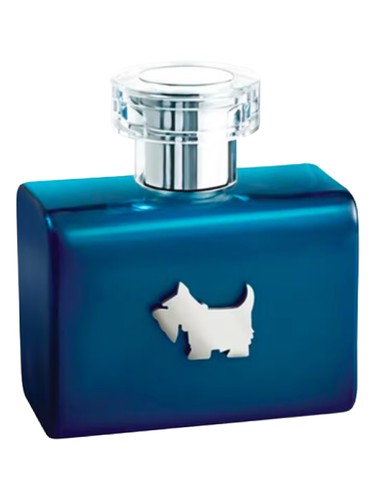Terrier Blue