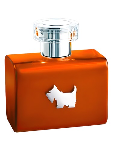 Terrier Orange