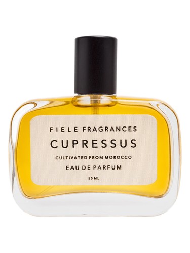 Cupressus