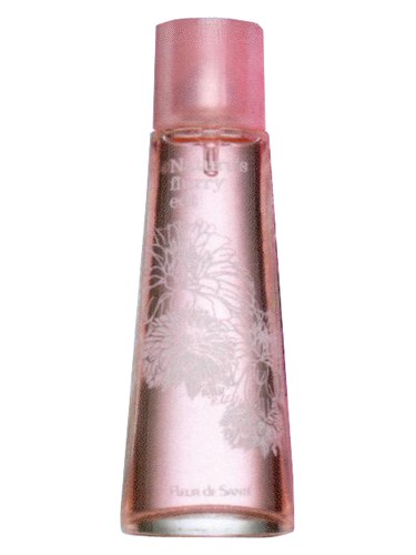 Natures Winter Flurry